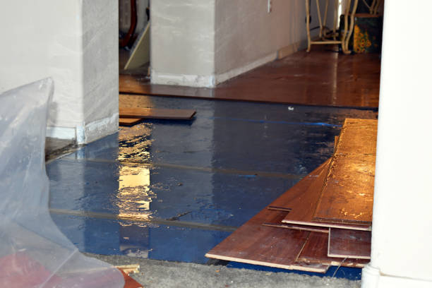 Professional Basement Flooding technician working in Adkins, TX